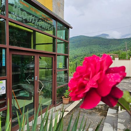 Family Hotel Komhotel Berkovitsa Exterior photo