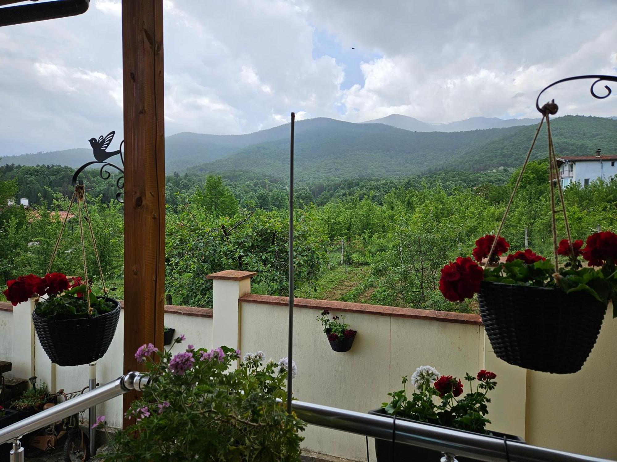 Family Hotel Komhotel Berkovitsa Exterior photo